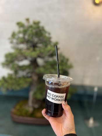 カフェでの盆栽展示